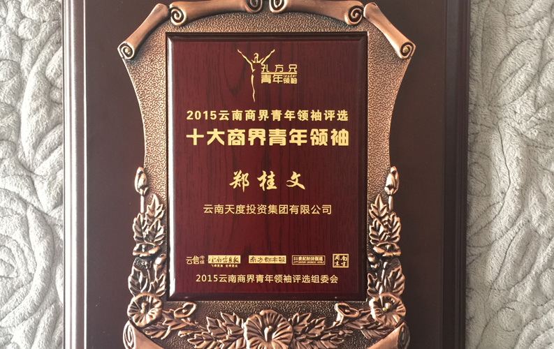 在&ldquo;互联网大时代&rdquo;的背景下，玛雅吧作为本土很大和很有名的互联网服务企业，为近万家传统企业转型互联网+提供了服务和帮助，获此奖项后，我们将再接再厉，创造更高的社会价值